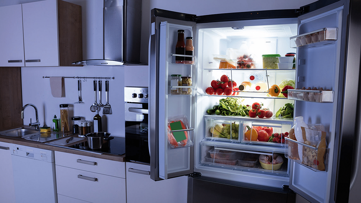 French Door Refrigerator