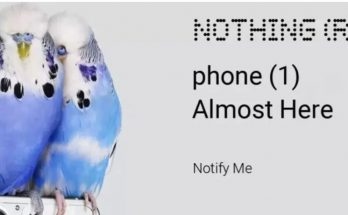 Nothing Phone 1
