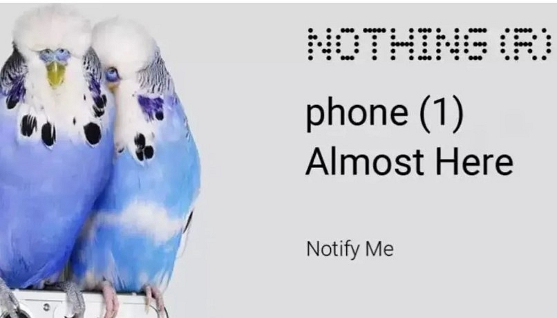 Nothing Phone 1