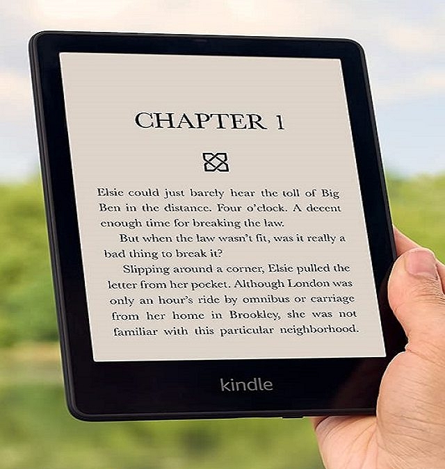 Kindle Paperwhite (8GB)