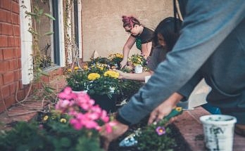 Gardeners