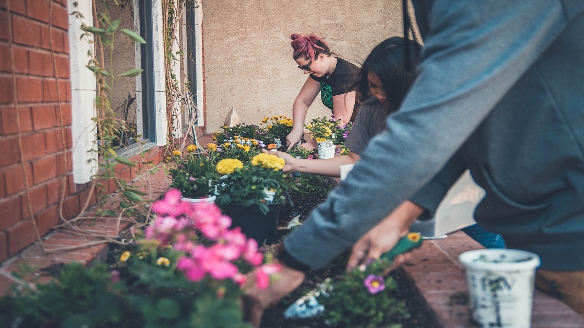 Gardeners