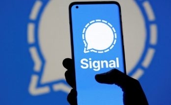 Signal