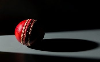 Cricket