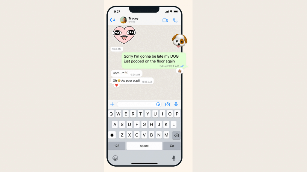 whatsapp chat edit