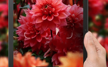 cropped-Untitled-design-2023-07-18T174827.582.png