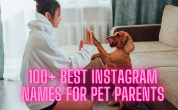 100+ Best Instagram Names For Pet Parents