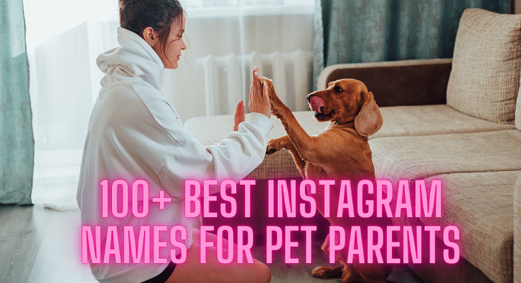 100+ Best Instagram Names For Pet Parents