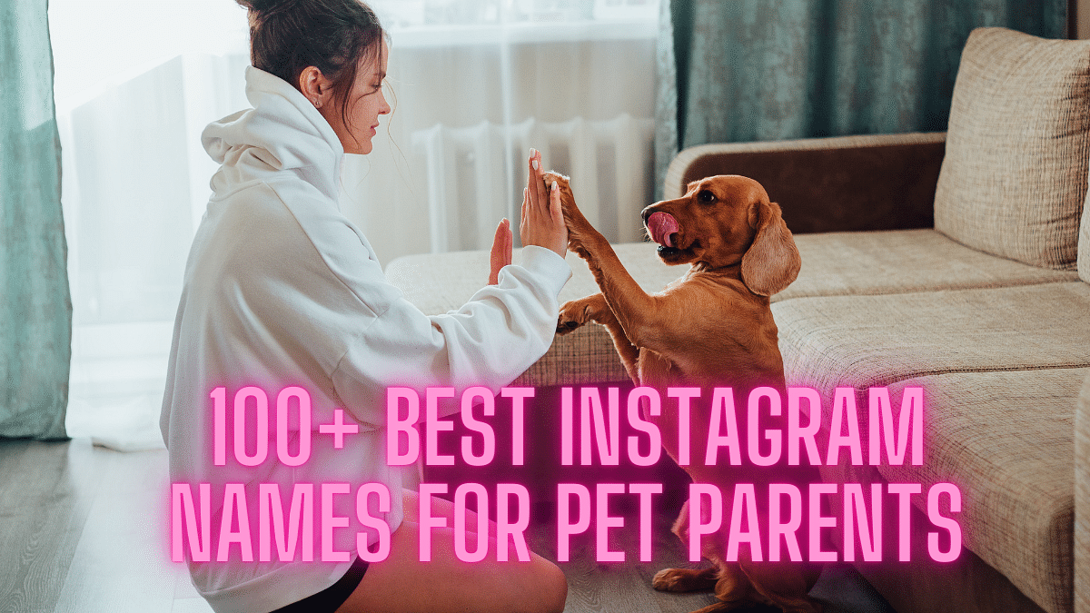 100+ Best Instagram Names For Pet Parents