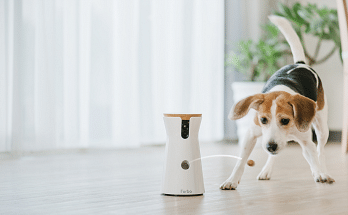 Pet Camera