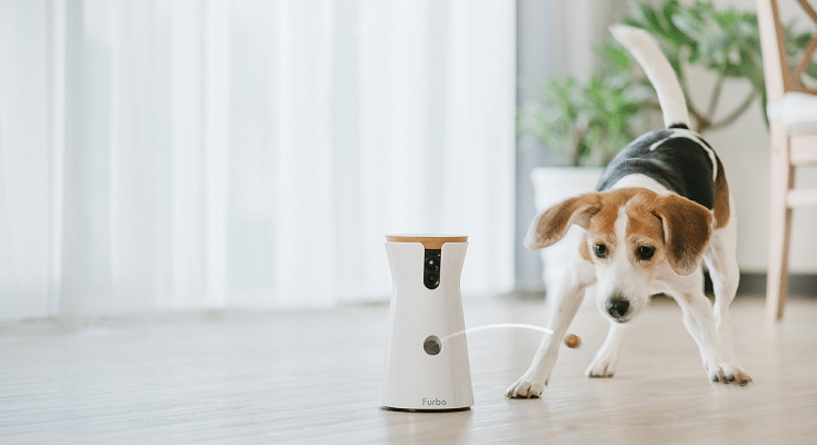 Pet Camera