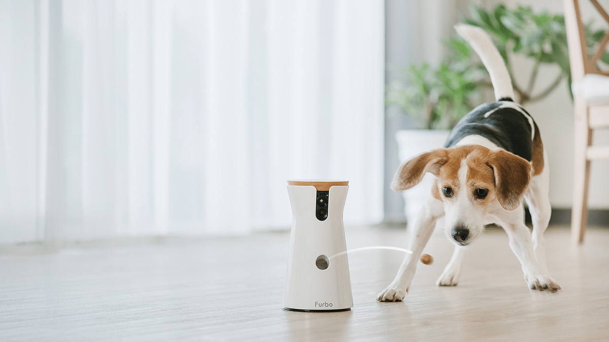 Pet Camera