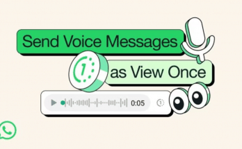 WhatsApp's Disappearing Voice Notes