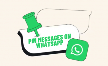 Pin A Message In WhatsApp Chat