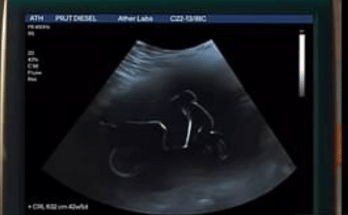 ather rizta electric scooter