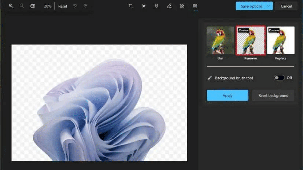 How To Remove An Image Background On Windows 11 using photo app