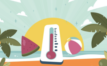cropped-summer-essential-.png