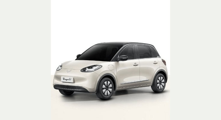 mg wuling binguoev (1)