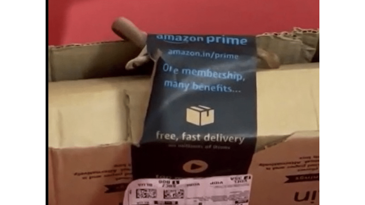 Amazon delivers snake