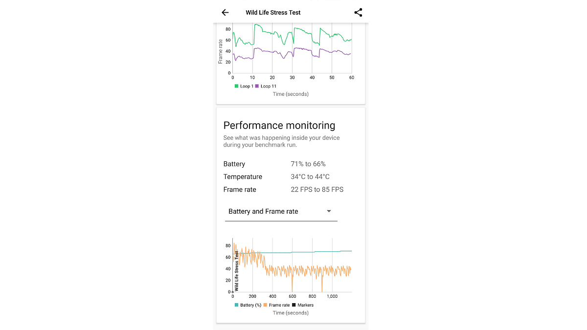 Realme GT 6 Wild Life Stress Test Result