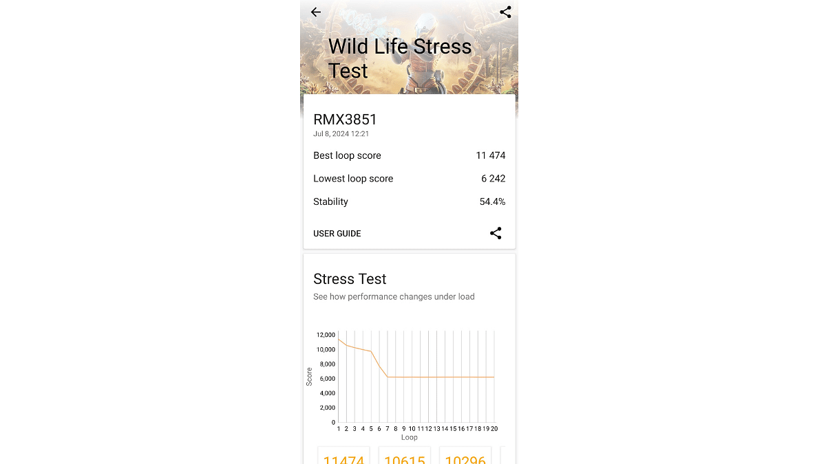 Realme GT 6 Wild Life Stress Test