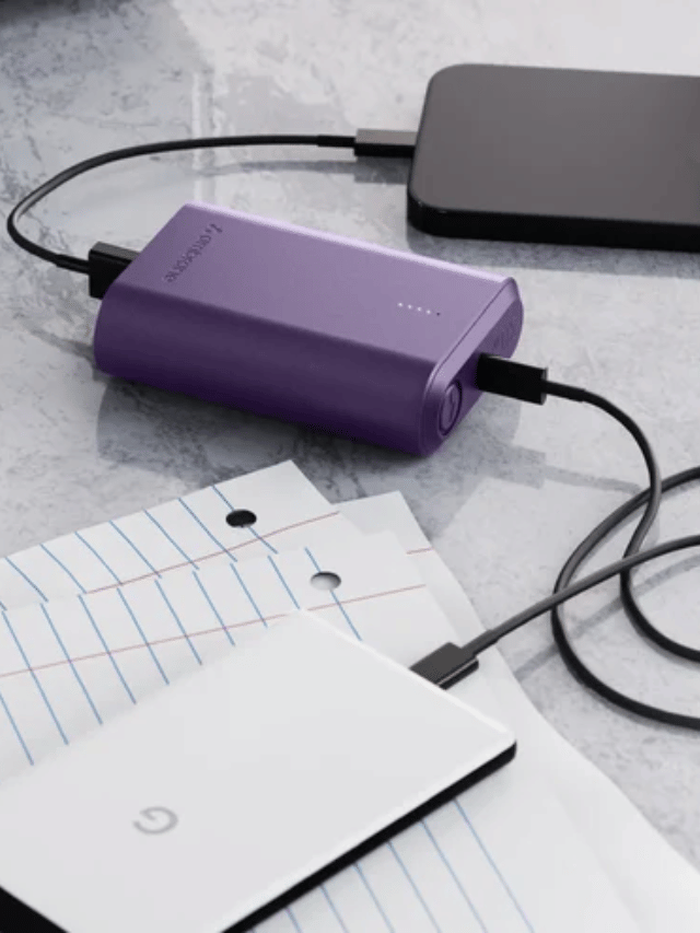 Ambrane PowerLit 30 Power Bank: Top Features