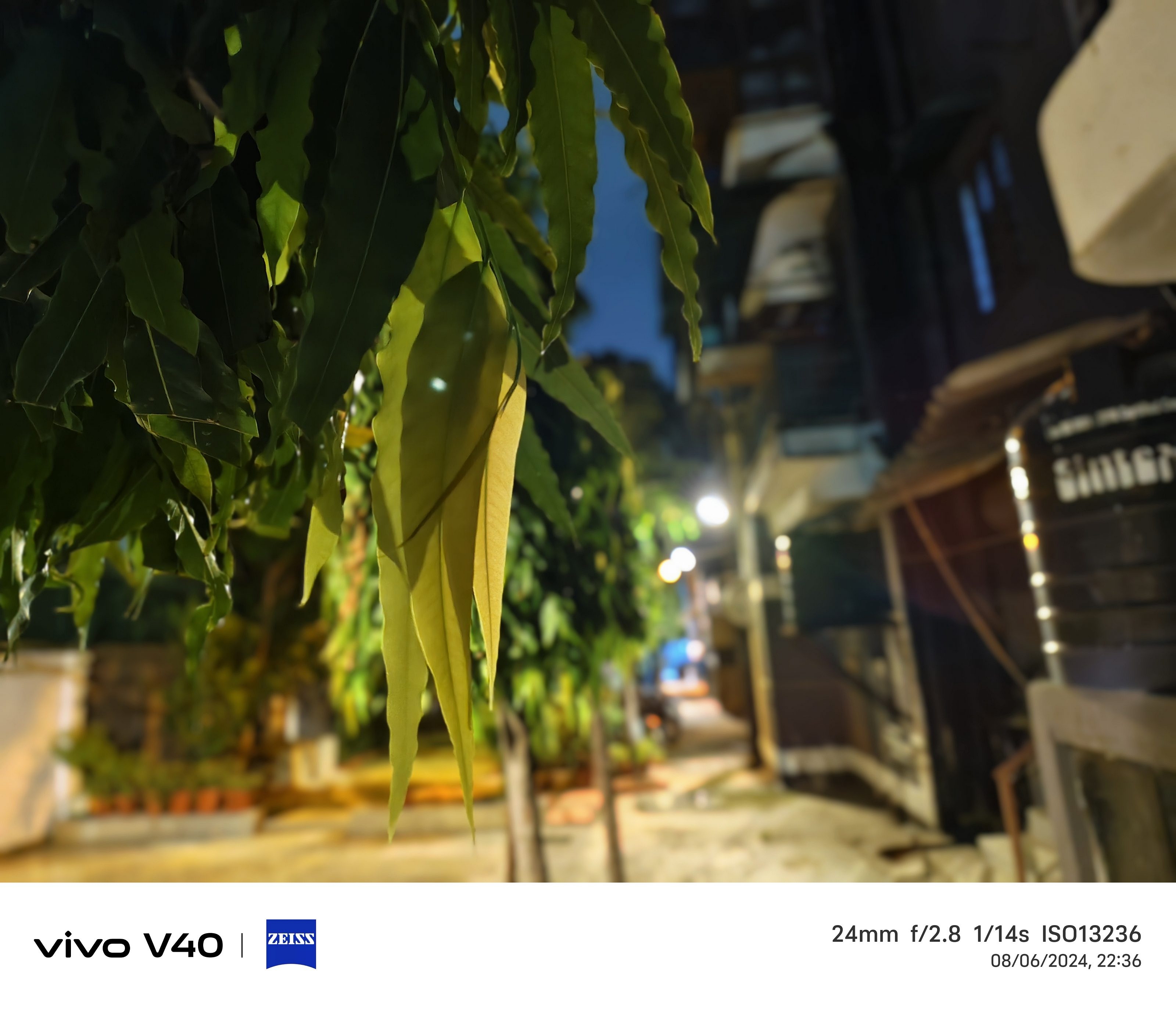 Vivo V40 Camera Sample