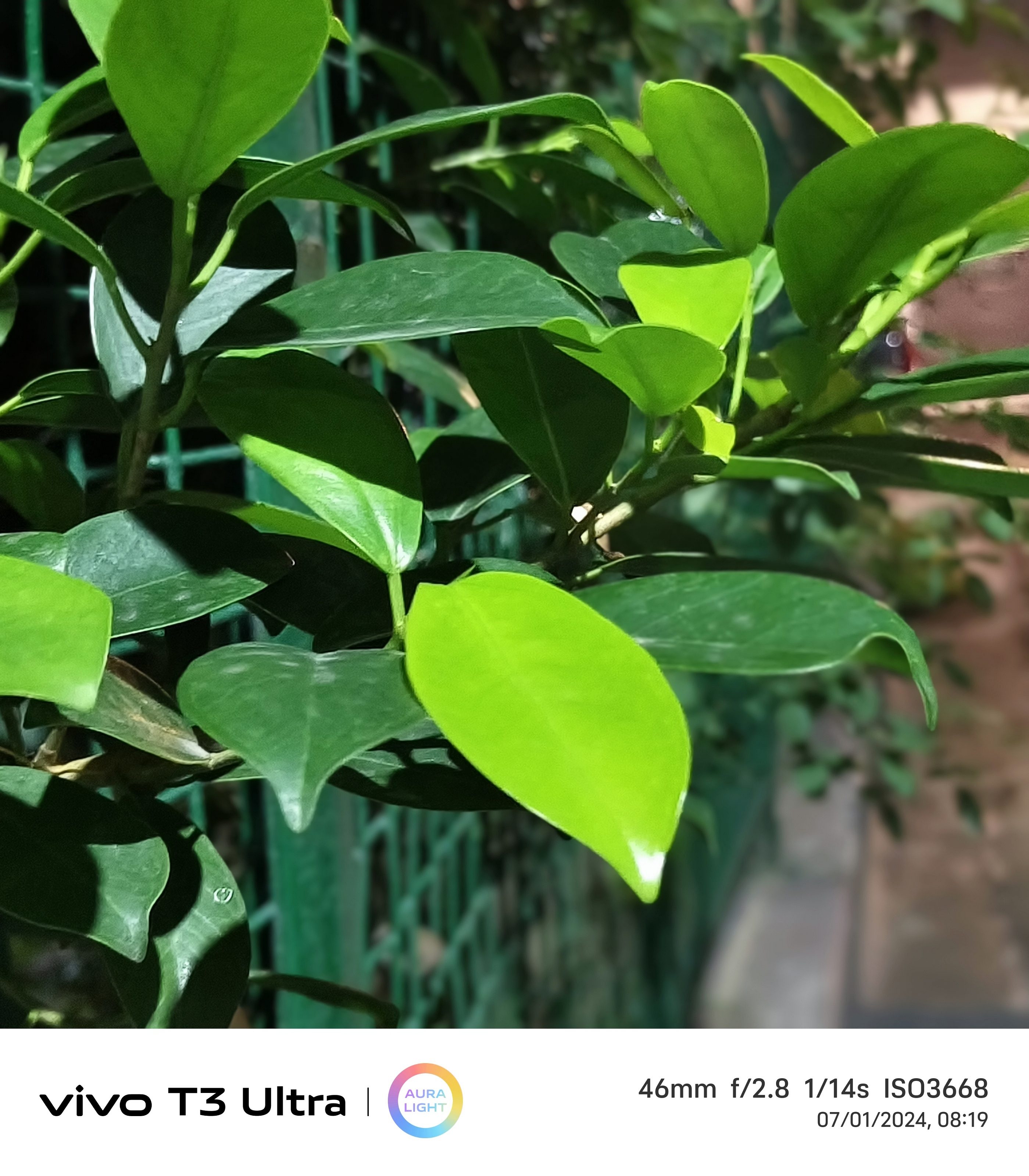 Vivo T3 Ultra Camera Sample