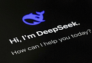 DeepSeek