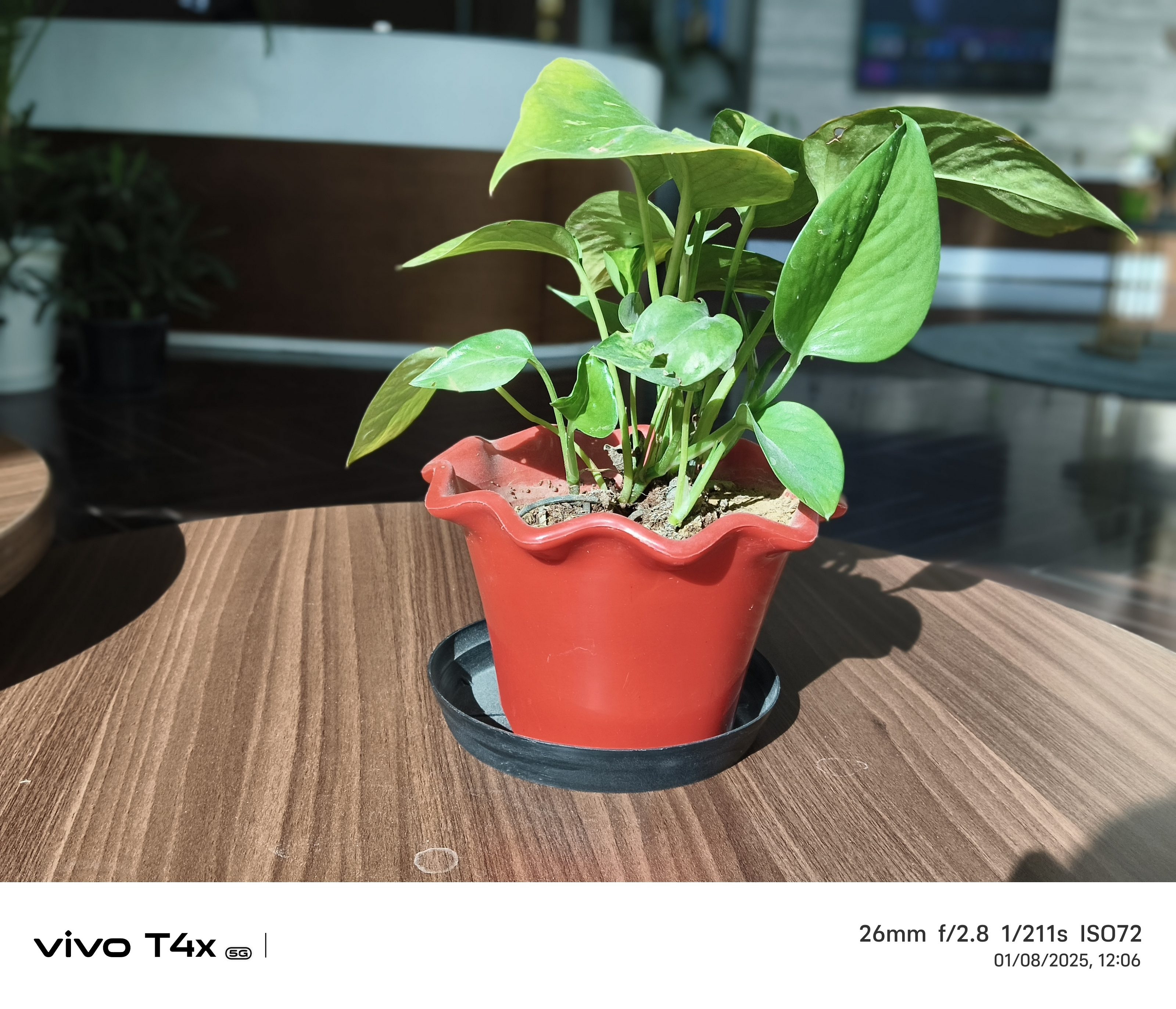 Vivo T4x 5G Camera Sample