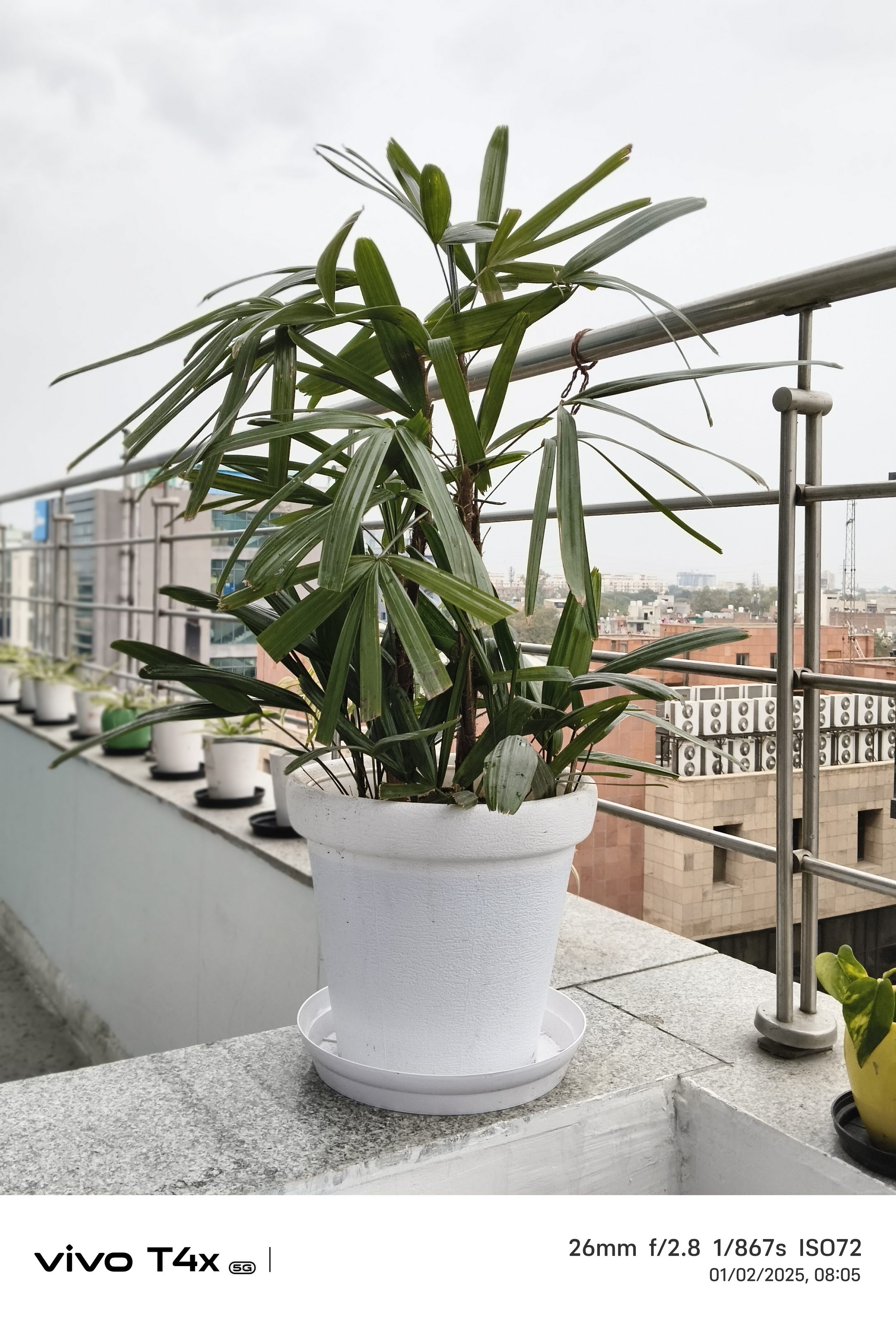 Vivo T4x 5G Camera Sample