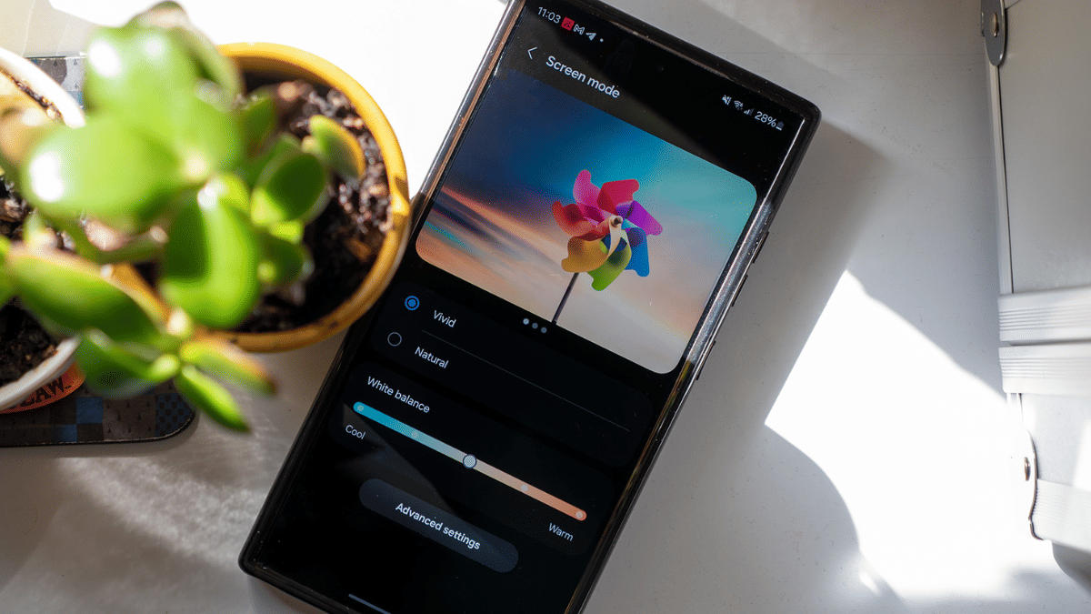 Smartphone Camera Vivid Mode