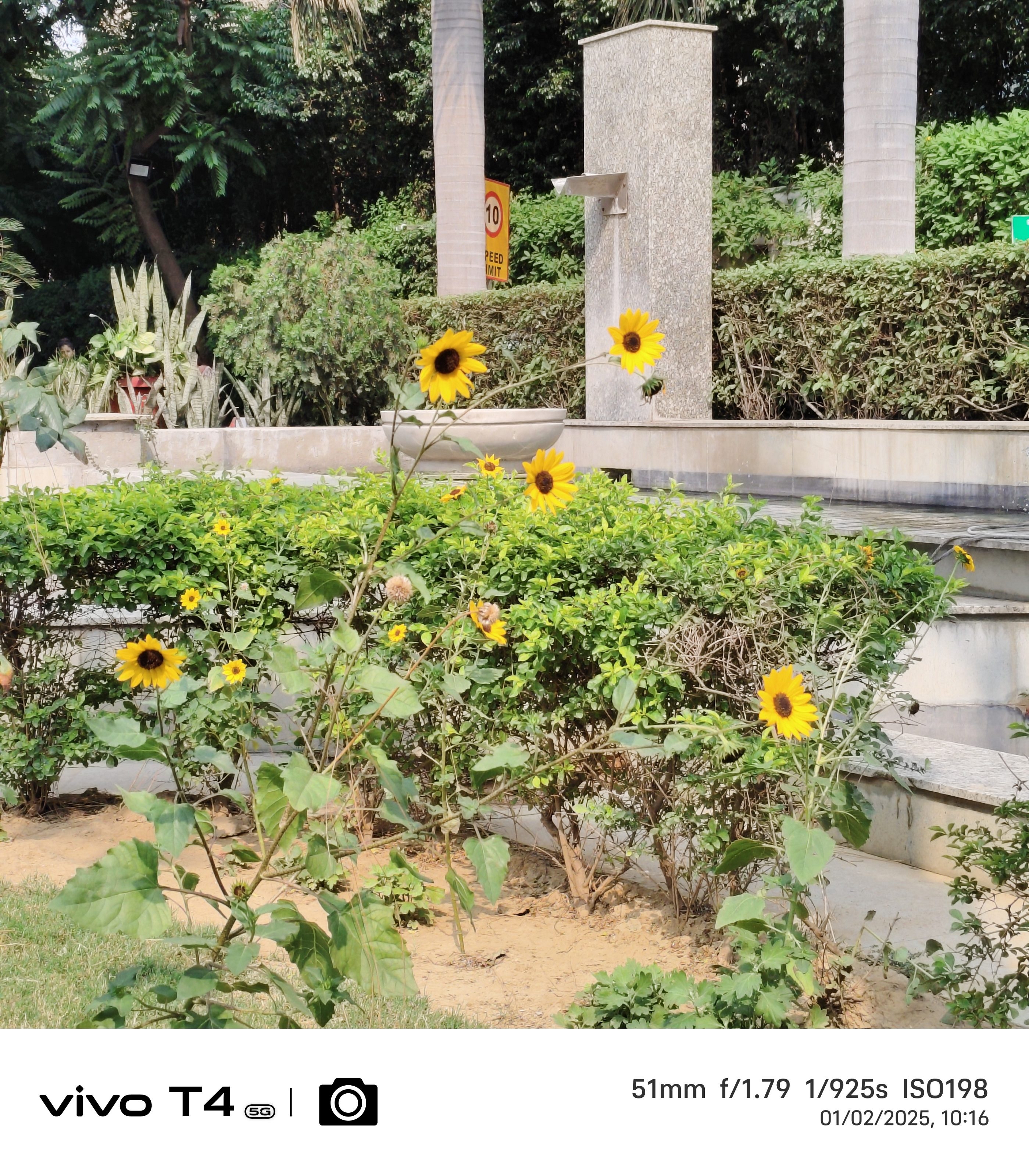 Vivo T4 5G Camera Sample